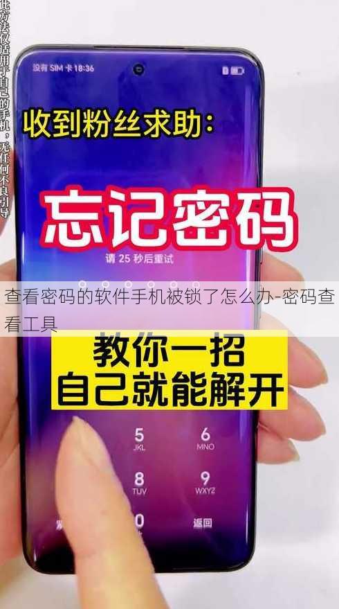 查看密码的软件手机被锁了怎么办-密码查看工具