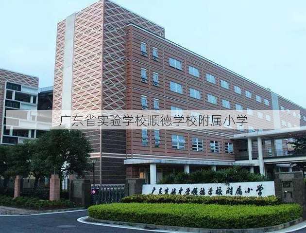 广东省实验学校顺德学校附属小学