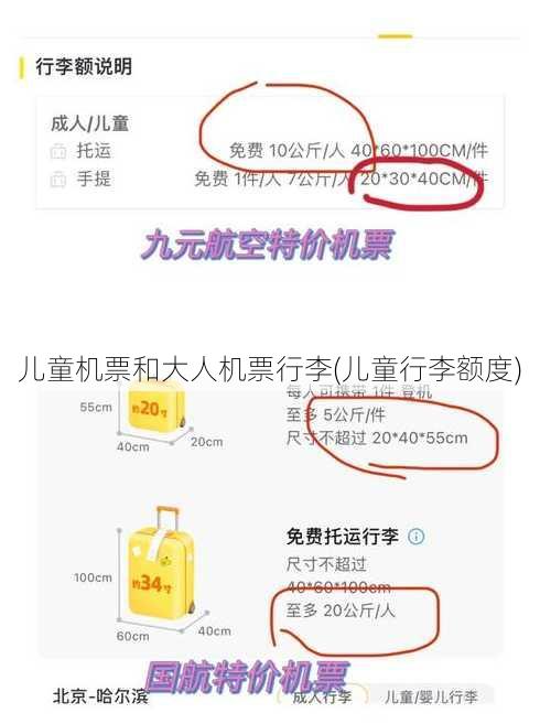 儿童机票和大人机票行李(儿童行李额度)