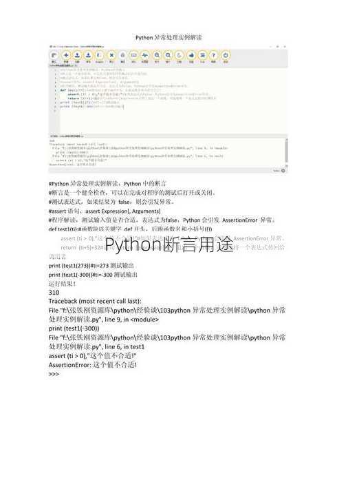 Python断言用途